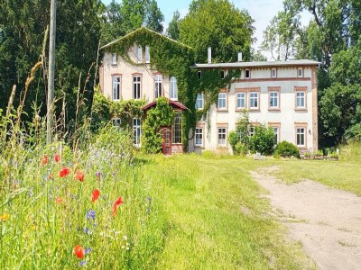 Apartment Alt Krassow Lakeside Retreat - Outdoor photo 6
