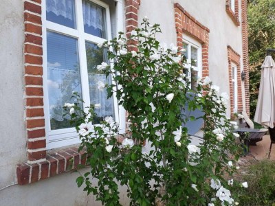 Apartment Alt Krassow Lakeside Retreat - Outdoor photo 7