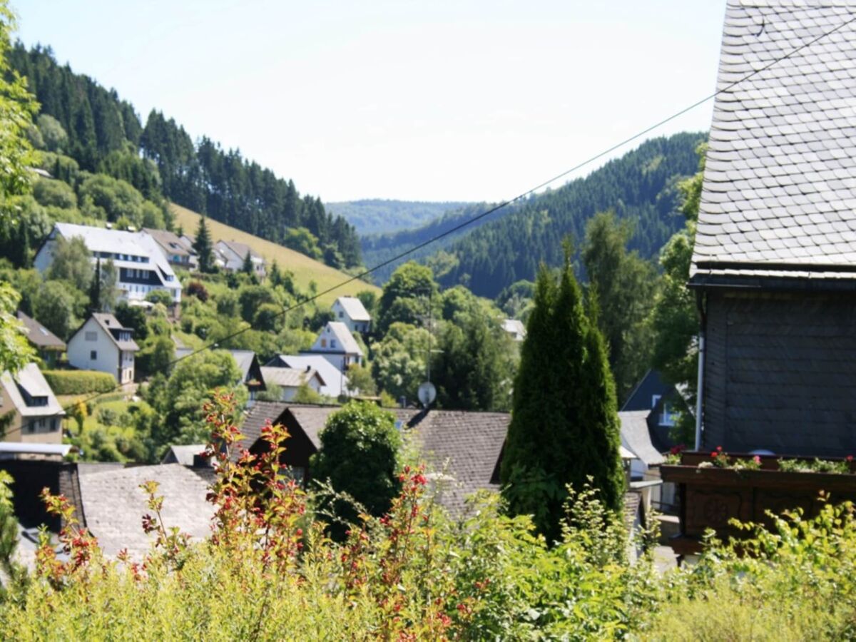Holiday house Ferienhaus in Willingen mit eigenem Garten - Outdoor photo 2