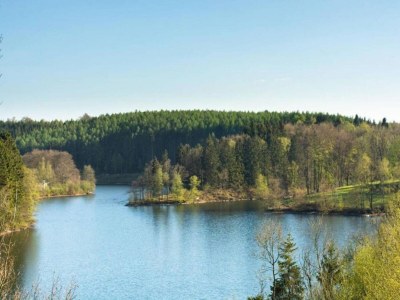 Holiday house Ferienhaus in Willingen mit eigenem Garten - Environment photo 28