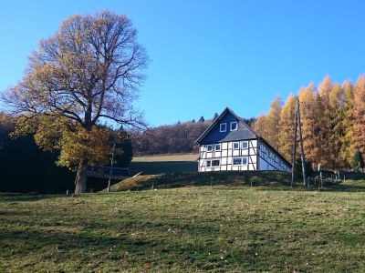 Holiday apartment AlmZeit-Sauerland in Schmallenberg-Gellinghausen - Holiday apartment