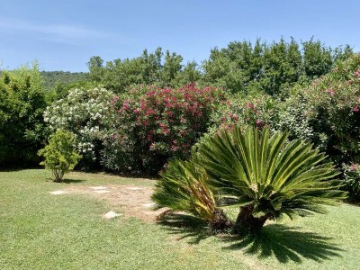 Holiday house Golf de St. Tropez - Outdoor photo 14