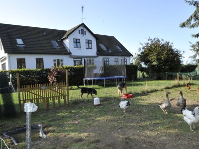 Holiday apartment A Deubert-Gehrmann - Outdoor photo 8