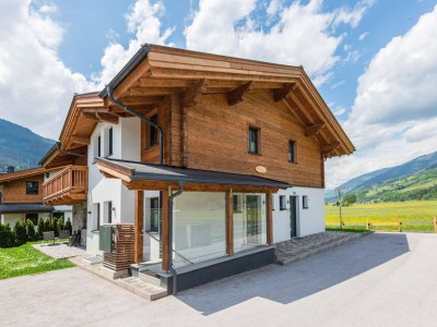 Holiday house Chalet in Niedernsill nahe Skipisten in Nationalpark Hohe Tauern - Holiday house