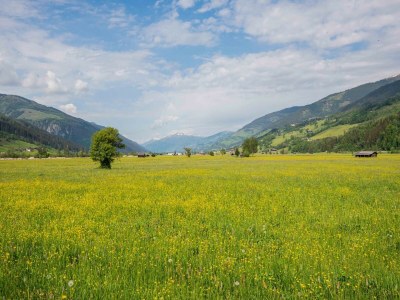 Holiday house Chalet in Niedernsill nahe Skipisten - Environment photo 32