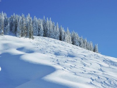 Chalet Chalet in Saalbach near Ski Lift and Sauna - Environment photo 28