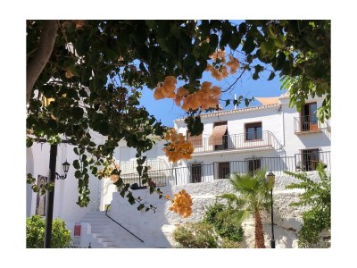 Holiday house Casa Olivo - Outdoor photo 6