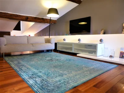 Apartment L O F T - 12 in NIZZA - Apartment