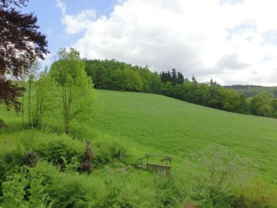 Villa Villa in Borstendorf nahe Erzgebirge - Environment photo 16