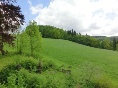 Villa Villa in Borstendorf nahe Erzgebirge - Environment photo 18
