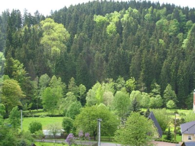 Villa Villa in Borstendorf nahe Erzgebirge - Environment photo 22