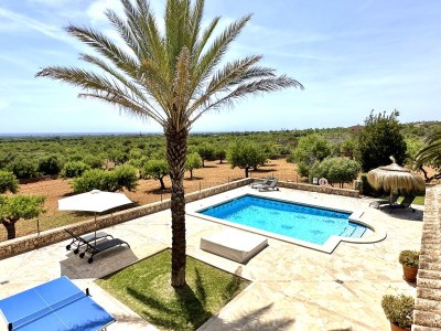 Finca Es Serral - Environment photo 40
