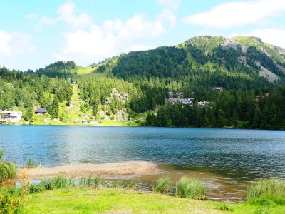 Alpine hut Hollmann am Berg - Franzi - Environment photo 20