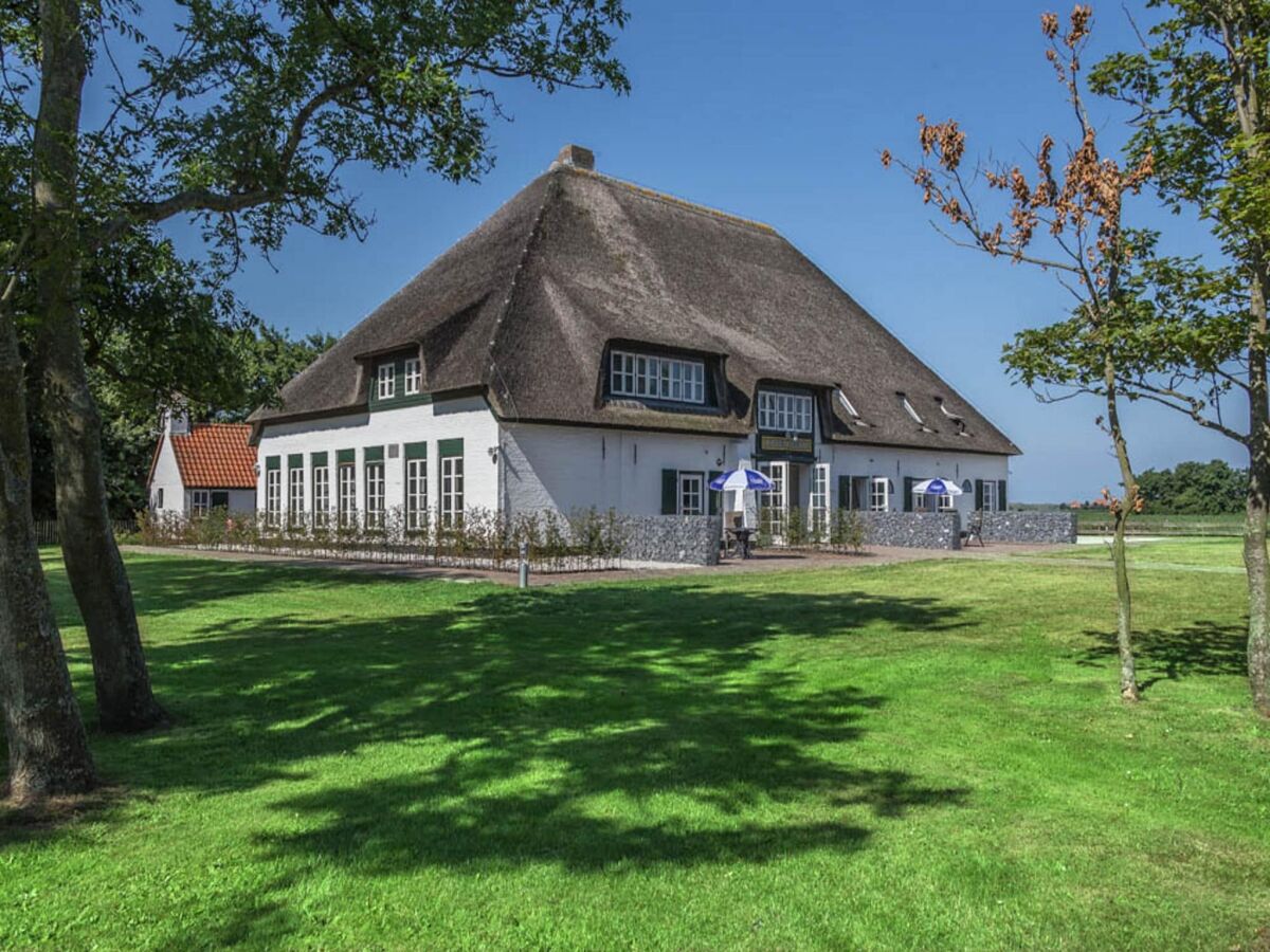 Farmhouse Bauernhaus auf Texel am Meer für 6 Von Belvilla