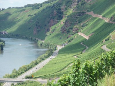 Apartment Romantischer Aufenthalt mit Blick auf den Weinberg - Environment photo 18