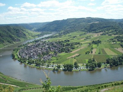 Apartment Romantischer Aufenthalt mit Blick auf den Weinberg - Environment photo 19