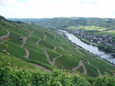 Apartment Romantischer Aufenthalt mit Blick auf den Weinberg - Environment photo 26