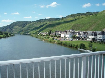Apartment Romantischer Aufenthalt mit Blick auf den Weinberg - Environment photo 28