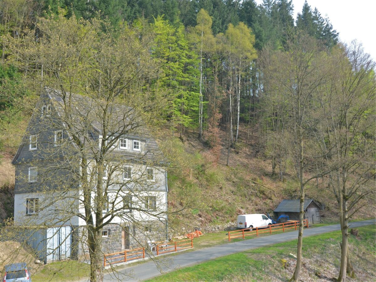 Holiday house Villa mit Sauna in Liesen