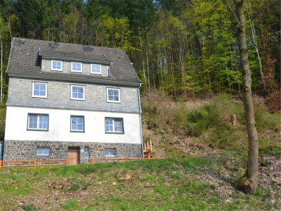 Holiday house Villa mit Sauna in Liesen - Outdoor photo 8