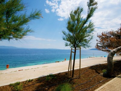 Holiday house Villa Ripenda - Environment photo 30