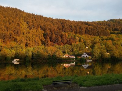 Holiday apartment Napoleone sur Moselle - Outdoor photo 3