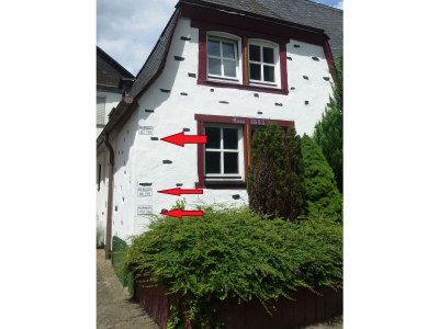 Holiday apartment Napoleone sur Moselle - Outdoor photo 6