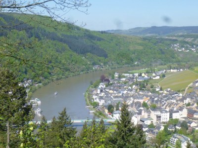Holiday apartment Napoleone sur Moselle - Environment photo 30