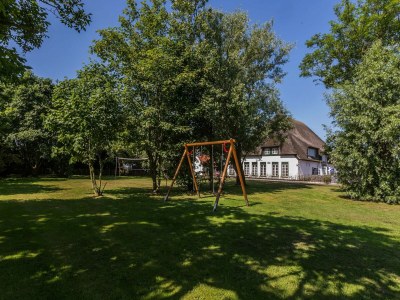 Farmhouse Seals Cozy Farm Stay in De Cocksdorp - Farmhouse