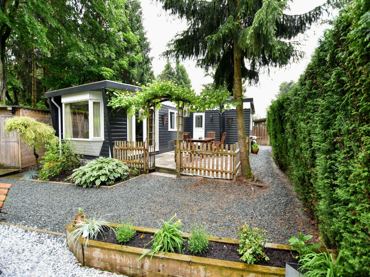 Chalet Chalet in Veluwe near Sauna Drôme - Outdoor photo 3