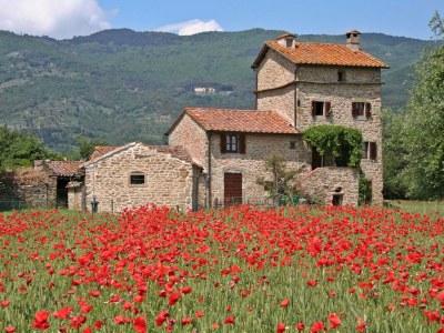 Villa Dardano in Cortona - Villa