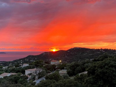 Holiday apartment Calvi-Lumio - Environment photo 25