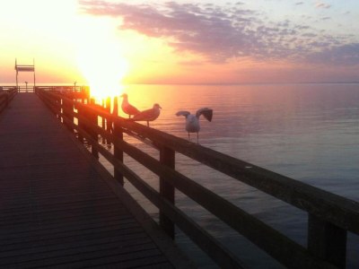 Bungalow Bungalow in Damshagen nahe der Ostsee - Environment photo 19