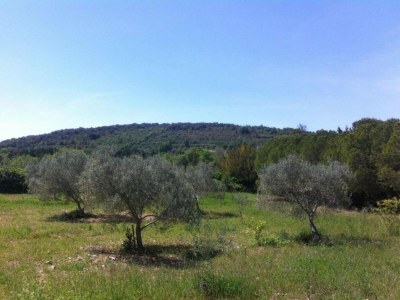 Villa Villa in La Tour-sur-Orb with Pool & Garden - Environment photo 35