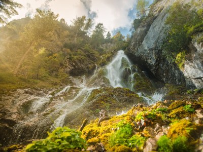 Cottage Country house "Heimatliebe" - Environment photo 34