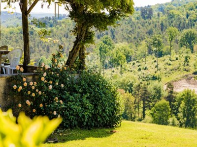 Farmhouse Magnificent holiday home with pool in Thenon - Outdoor photo 14