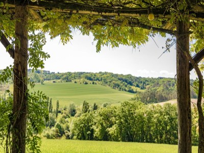Farmhouse Magnificent holiday home with pool in Thenon - Outdoor photo 15