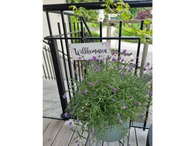 Holiday apartment Binder, HubertusstraÃŸe Apt 4 - Outdoor photo 5