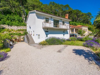 Holiday house Villa Dorijana in Plomin, Istrien, Labin & Rabac - Holiday house