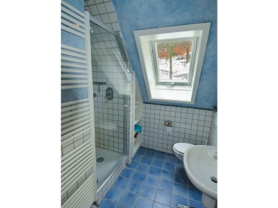 Holiday house Waldhaus am Burbach - Features photo 16