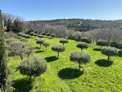 Holiday house Petit Recre - Environment photo 33