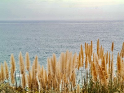 Apartment Apartment am Strand von Vale Centianes - Environment photo 17