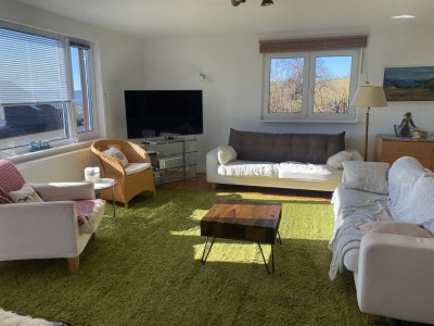 Holiday house Alpine panorama on the Hochrhein **** - Features photo 16