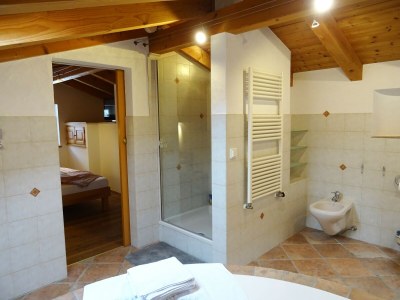 Holiday apartment Mountain loft Ramsau - Features photo 25