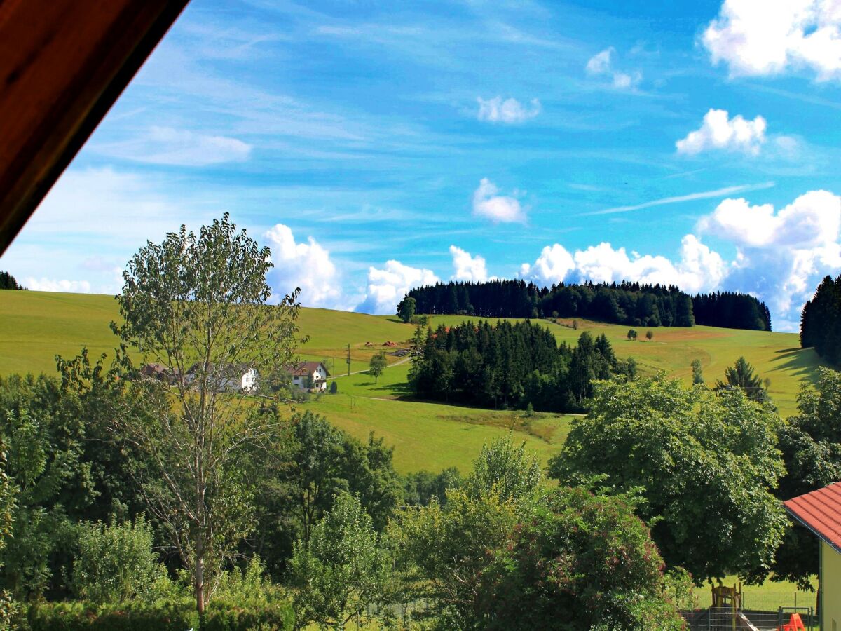 Apartment Alpiner Aufenthalt in Herrischried - Outdoor photo 3
