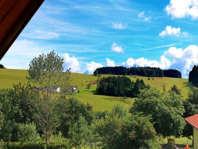 Apartment Alpiner Aufenthalt in Herrischried - Outdoor photo 3