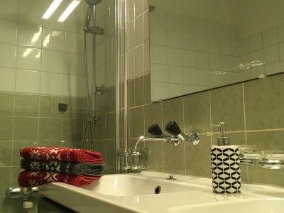 Holiday apartment Chesa Zundra - Features photo 16