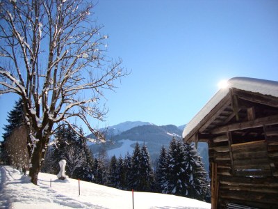 Holiday apartment Winzen Haus Zuhag - Outdoor photo 5