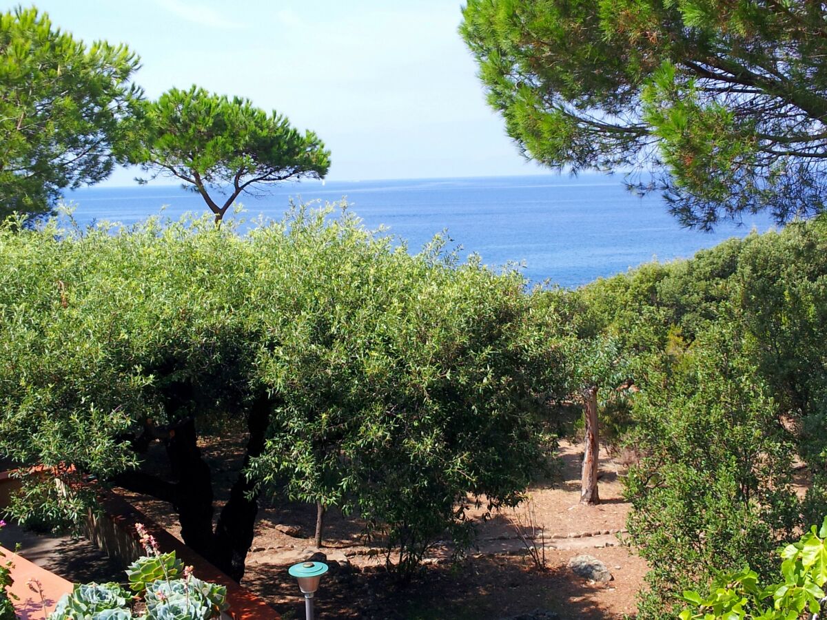 Holiday apartment Pine Paradise - Outdoor photo 3
