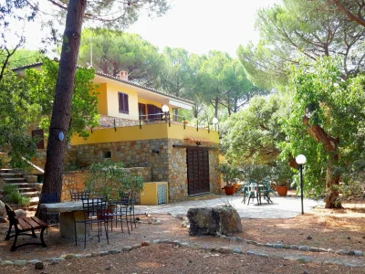 Holiday apartment Pine Paradise in Patresi Mare (Marciana) - Isola d'Elba (LI) - Holiday apartment